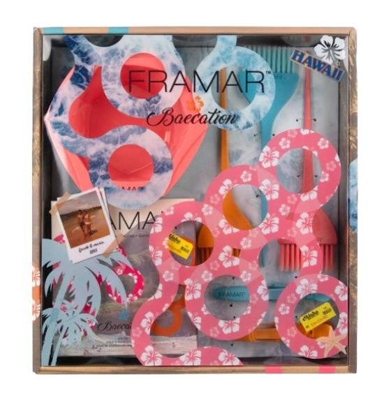 FRAMAR BAECATION COLORIST KIT