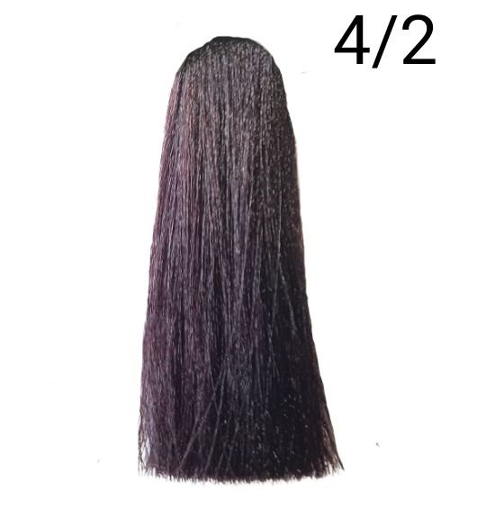 INEBRYA COLOR BIONIC 4/2 CASTAÑO VIOLETA 100ML